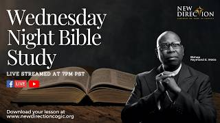 Lesson 343 | Zacchaeus | Luke 19:1-10