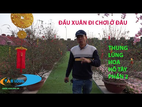 Đầu Xuân đi chơi ở đâu tại Hà Nội.Thung Lũng Hoa Hồ Tây ở đâu? Phần 2