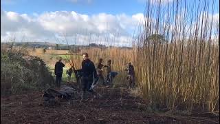 Willow Coppicing by hand at Schumacher College