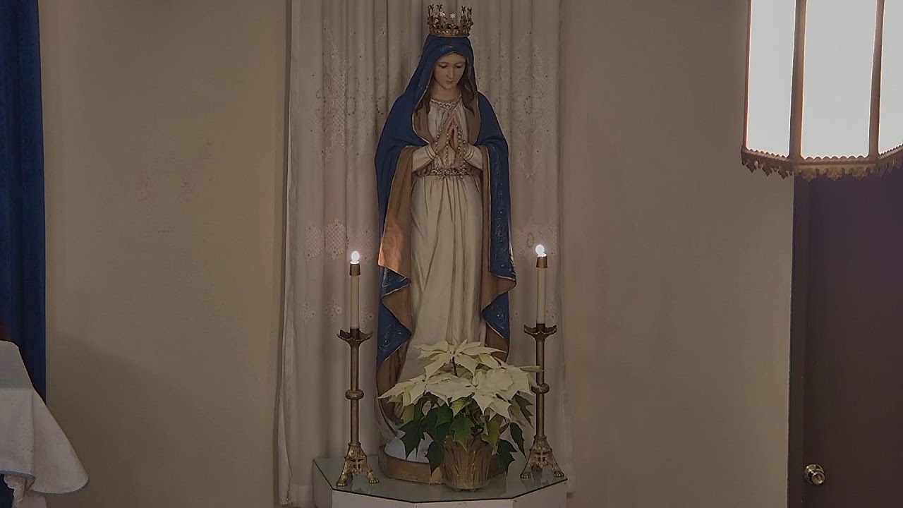 Rosary, January 28, 2024