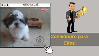 Um presente para seu cãozinho faça você mesmo.