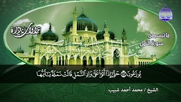 سوره النمل كامله بدون اعلانات| الشيخ محمد أحمد شبيب|