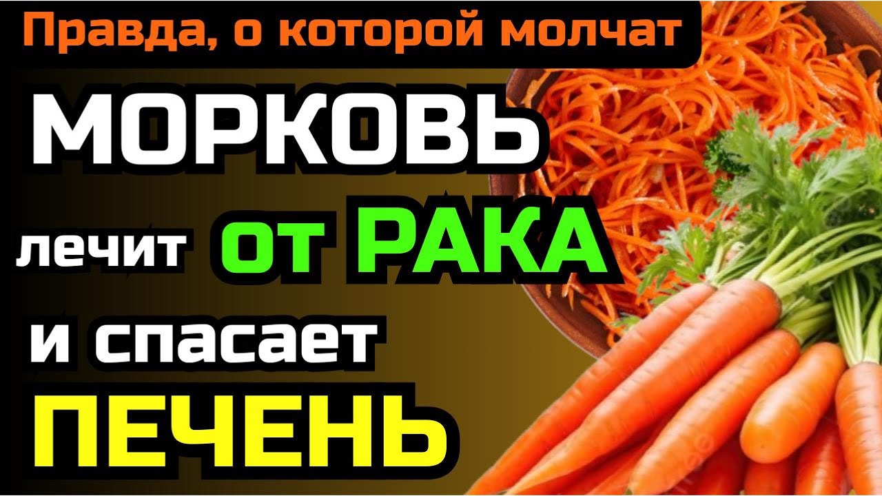 Невероятная польза моркови: защита от болезней и долголетие