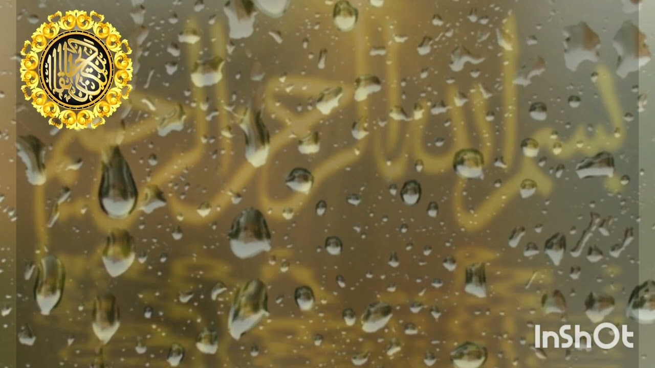 25 الجزء الخامس و العشرون من القرآن الكريم ( إليه يردُّ علمُ الساعة) بصوت الشيخ محمد المحيسني