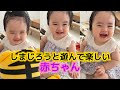 【1歳1ヶ月】👶しまじろうパペット大好き👶