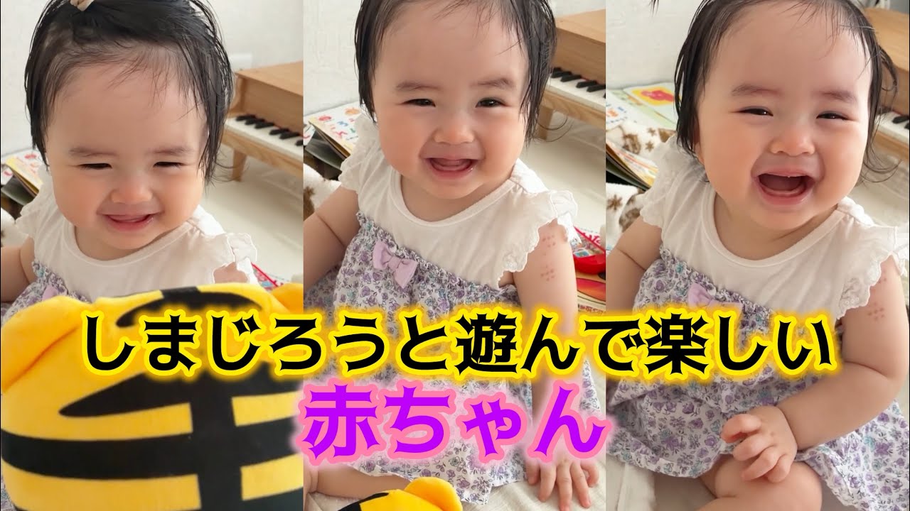 【1歳1ヶ月】👶しまじろうパペット大好き👶