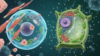 🔬 What is a Cell? | Basic Structural & Functional Unit of Life 