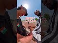 インド疲れるw #shorts #インド #海外 #おすすめ