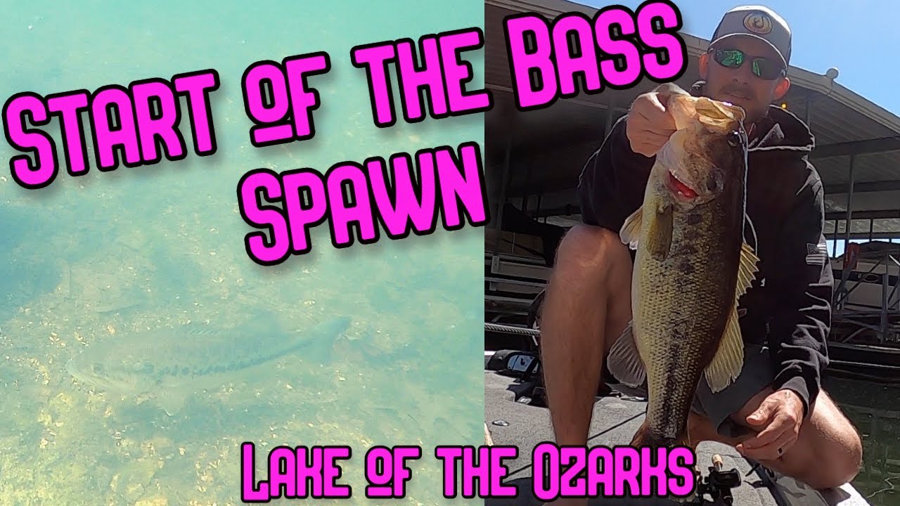 Spring Bass Fishing | Lake of the Ozarks | Late April/Early May