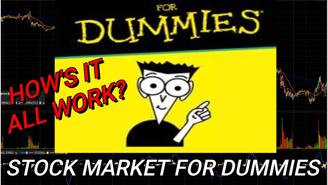 STOCK MARKET GUIDE FOR DUMMIES YouTube