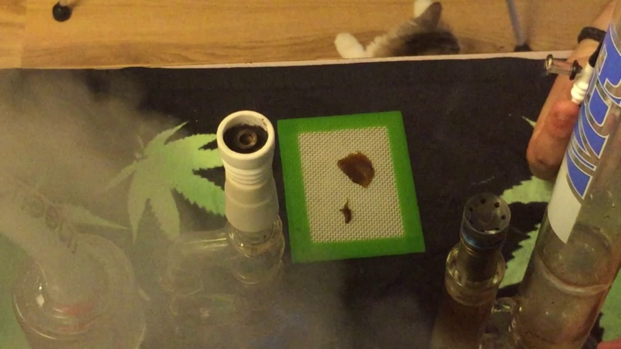 HALO DABS