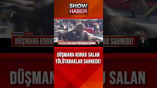 Tülütabaklar Sahnede