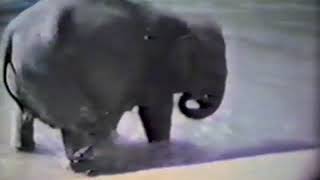 The Way We Were. Home Movies from Mogadore Ohio 1966-1980