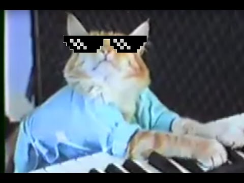 thug-life-cat