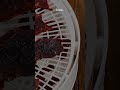 How to Make Perfect Beef Jerky at Home