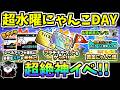 【にゃんこ大戦争】まさかの全ステージ統率力半減！？超水曜にゃんこDAYが神イベントすぎる！予告になかったイベントも登場！【The Battle Cats】