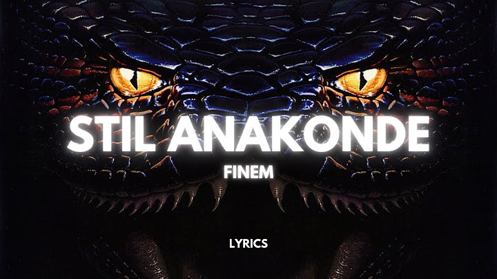 FINEM - STIL ANAKONDE 🐍 (Lyrics)