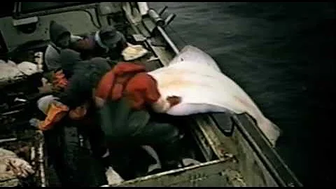 SAVING OCEAN FISHERIES