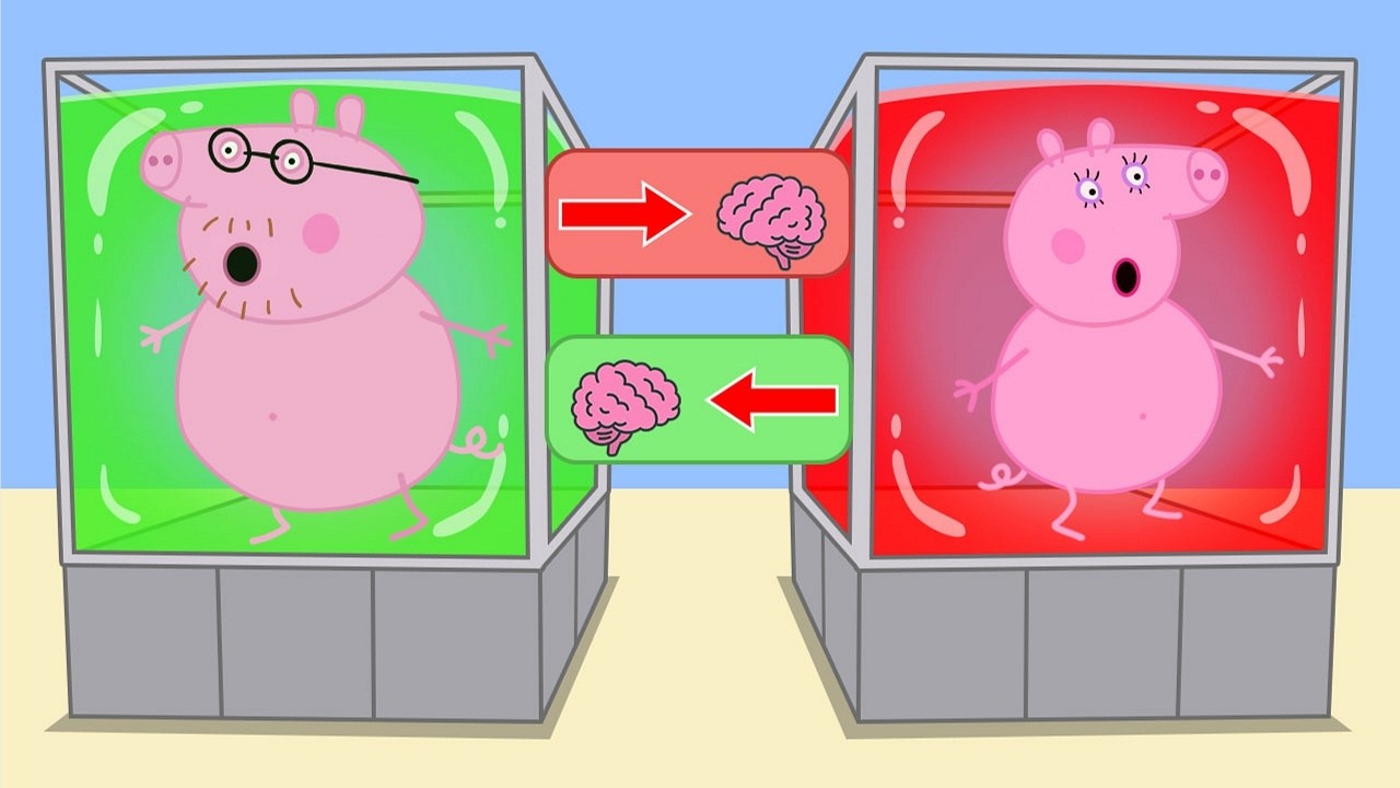Daddy Pig and Mummy Pig Swapped Brains | Peppa Pig Funny Animation