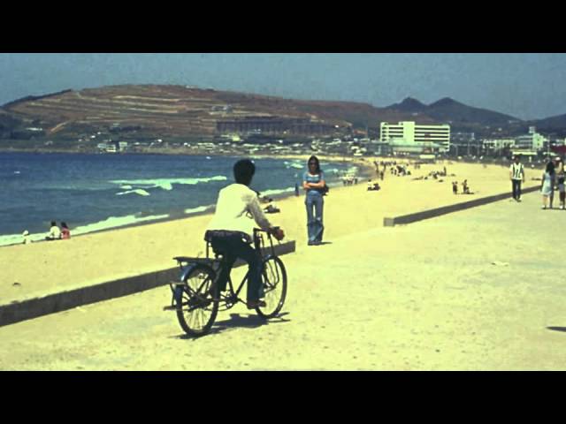 Vidarsson & David DeL'Etoile - Flower Time (Original Mix) HQ