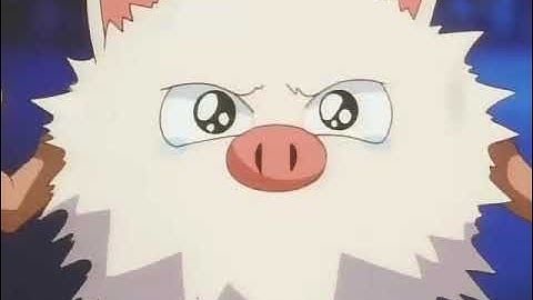 Ash saved Primeape and showed his gratitude towards Primeape 😎🤠💖