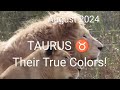 Taurus ~ They're playing Everyone! Do not engage!