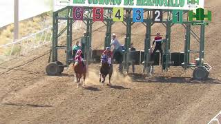 Carreras de Caballos 10 de Marzo del 2024 en el Hipódromo de Hermosillo