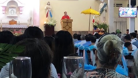 Bài Giảng Cha Chánh Xứ GX Liên Kim Sơn Trong Ngày Mừng Lễ Kính Các Thánh Tử Đạo Việt Nam 