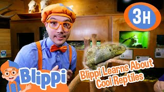 The Aquatic Life of Blippi | Blippi and Meekah Best Friend Adventures | Educational Videos for Kids