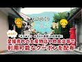 えひめぐり みきゃん旅割CM動画B