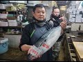 【職人技】知る人ぞ知る幻の脂がのった【スマカツオ】の捌き方