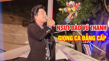NSƯT ĐÀO VŨ THANH | XUẤT HIỆN HỘI QUÁN KHƯƠNG DỪA - CA CỔ HƠI DÀI ĐẲNG CẤP