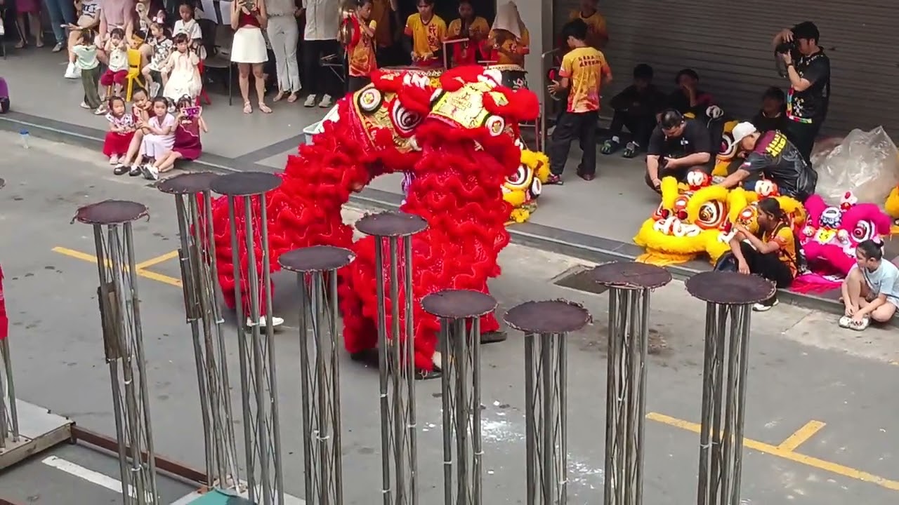 Lion dance ground performance 