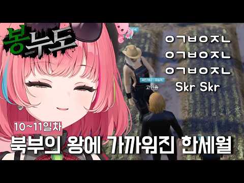 [봉누도2] 북부의 왕에 가까워진 한세월