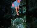 Amazing Villagers' Unique  Fishing Technique