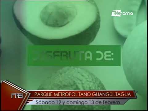 XV evento Holístico Vengan Day buscan crear conciencia