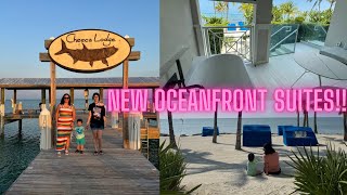 Cheeca Lodge & Spa Premier Oceanfront suite with TUB on balcony (Islamorada, FL) 🏝️ #beach #vlog