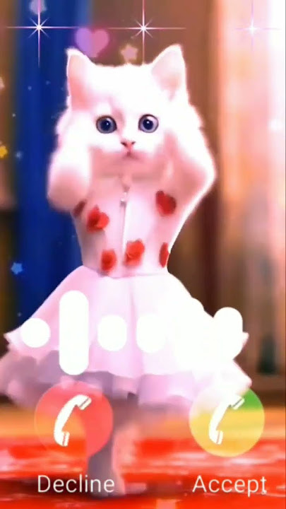 Cute cat #ringtone #nadaderingtelepon #smartphone #music #ringtones #cattune #funny #catphones #cat