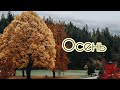 ОСЕНЬ | ПОДБОРКА ОСЕННИХ ПЕСЕН 🍂 | Песни на жатву