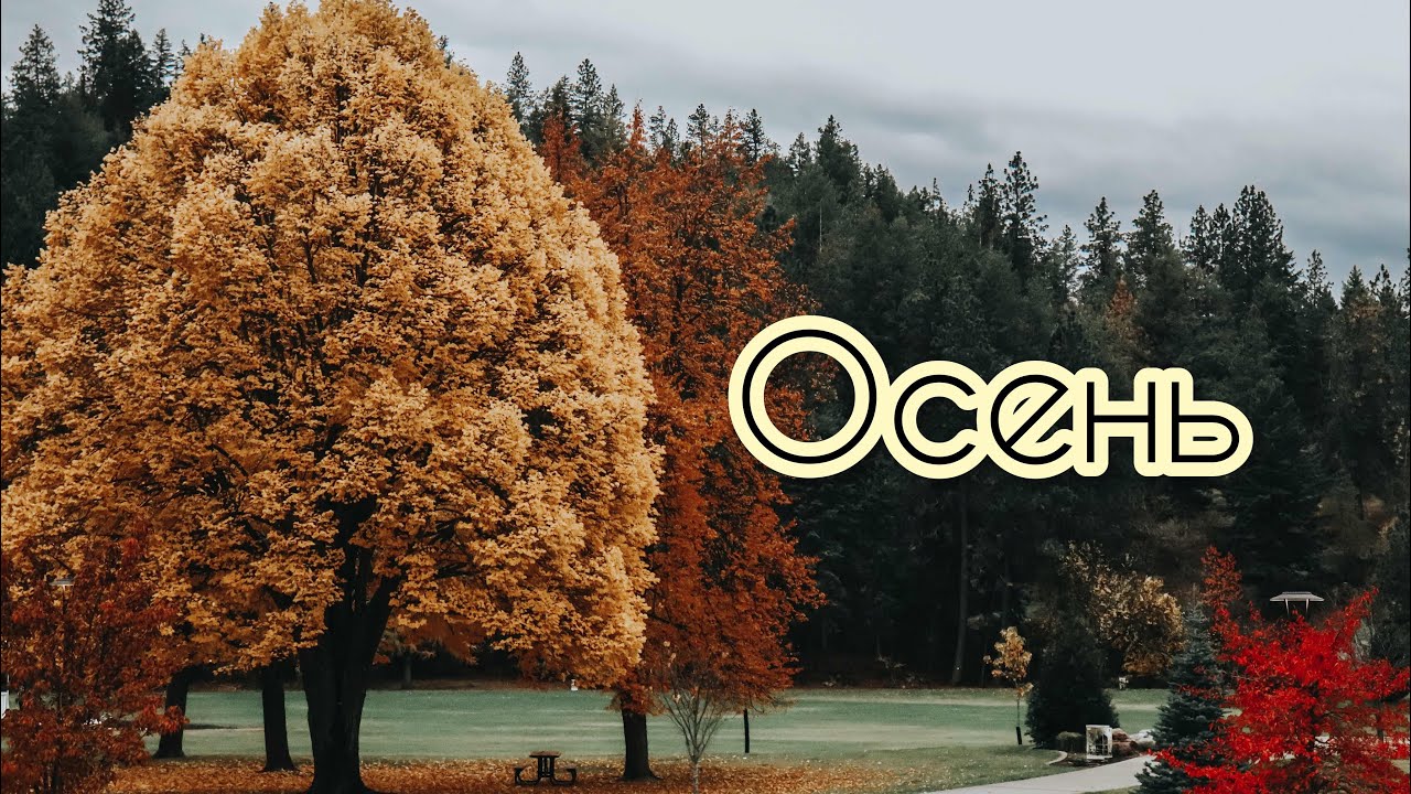 ОСЕНЬ | ПОДБОРКА ОСЕННИХ ПЕСЕН 🍂 | Песни на жатву