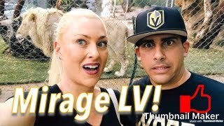 Mirage Las Vegas and Siegfried and Roy Secret Gardens