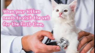 Your Kitten’s First Visit to the Vet by CuteCats LoveLove 11 views 3 years ago 2 minutes, 15 seconds