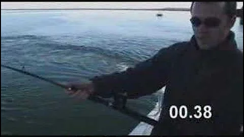 Adventure Bound - Port Augusta Yellotail Kingfish