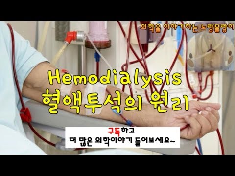 혈액투석(Hemodialysis, HD) 원리: diffusion, ultrafiltration, convection