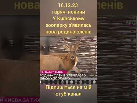 У Київському зоопарку зявилась нова родина оленів #зоопарк #київ