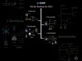 MLOps Roadmap for 2026 #MLOps #MachineLearning #DataScience #MLEngineering #TechCareers #Python