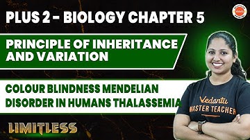 Plus Two Biology | Principle Of Inheritance | Colour Blindness | Vedantu Malayalam