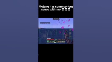mojang has some  serious issues with me