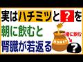 「腎臓内科医も驚愕…」蜂蜜は、この時間帯・タイミングで飲め！腎臓が喜ぶ、一日5つの習慣※60歳からの腎臓ケア：医者メモより