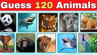 Guess 120 Animals in 3 Seconds | Easy, Medium, Hard, Impossible